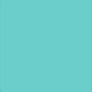 iMBAPrice Teal Poly Mailers 7.5 x 10.5 Inch #2, 200-Pack - color: Teal, size: 7.5" X 10.5"