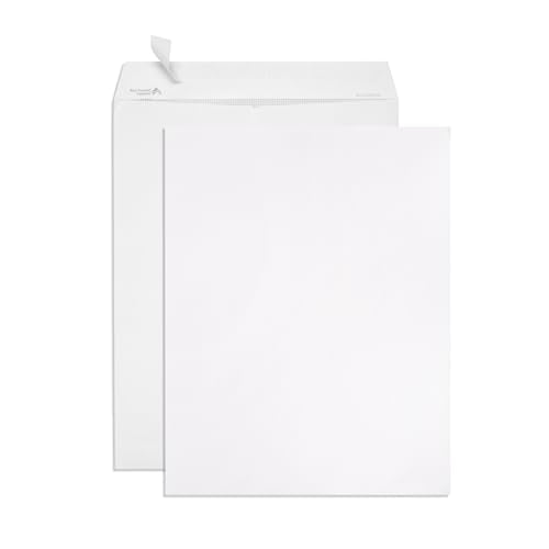 Blue Summit Supplies 100 10" x 13" Catalog Envelopes, Self Seal, White - size: 10 X 13