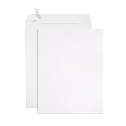 Blue Summit Supplies 100 10" x 13" Catalog Envelopes, Self Seal, White - size: 10 X 13