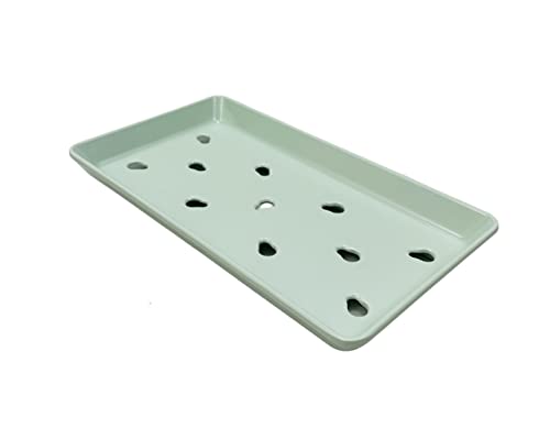 JapanBargain, Set of 8 Sushi Neta Case Plates with Drip Holes, 8.75"x5" Light Green Melamine Sushi Sashimi Raw Fish Display Trays, Restaurant & Commercial Quality, Durable Plastic, Dishwasher Safe