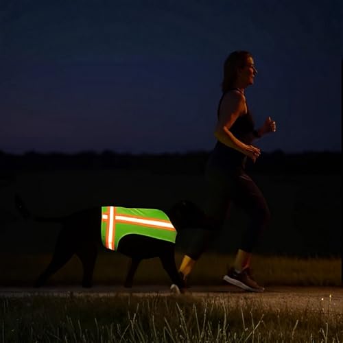 Reflective Dog Vest. High Visibility Yellow Safety Vest for Outdoors. Safeguard Your Dog with Easy to wear Adjustable and Breathable Reflective Gear (Large) - size: Large