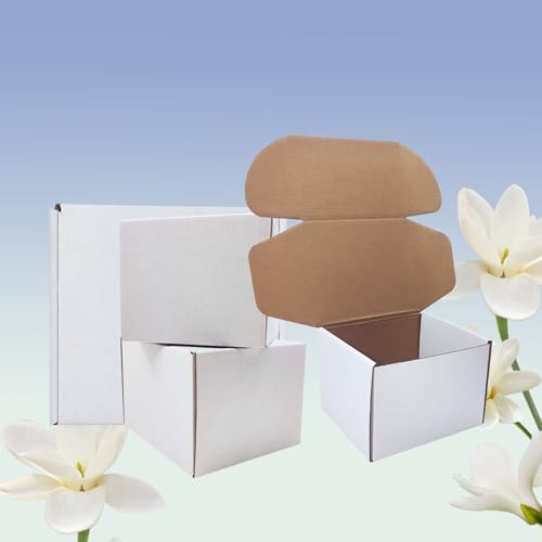 6x5x4 inch Shipping Boxes Set of 25, White Kraft Corrugated Cardboard Box - size: 6x5x4-25 Pack