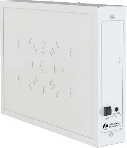 Lithonia Lighting TCE Commercial Steel Exit Sign (Pack of 1)
