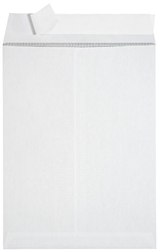 Blue Summit Supplies 100 9" x 12" Catalog Envelopes, Self Seal, White - size: 9 x 12