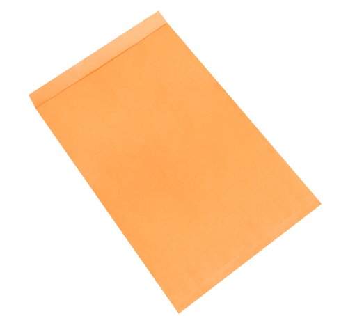 Jumbo Envelopes, 24" x 36", Kraft, Large Envelopes For Protecting, Mailing and Shipping Oversized Printed Items, Case of 100