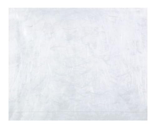 Quality Park Survivor R4650 12x16x2 Tyvek Expandable Booklet Mailer Case of 100 and R1460 9x12 Tyvek Mailer Box of 100