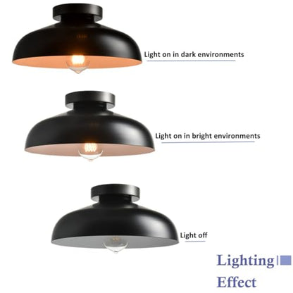 DIRYZON Flush Mount Ceiling Light, 12-Inch Industrial Black Ceiling Light - color: Black