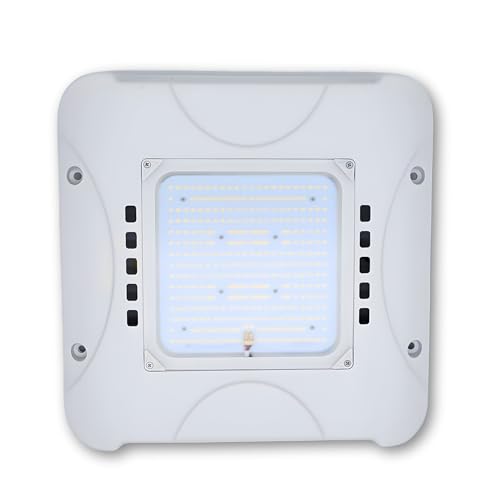 300W LED Canopy Light, 48,000LM, 5700K Daylight, Waterproof