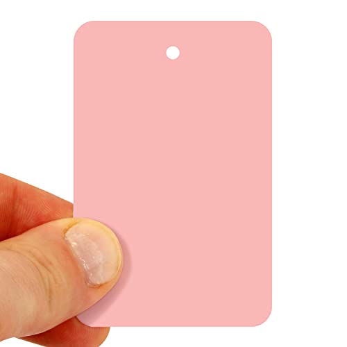 SmartSign Pink Garment Blank Tags - 1000 Pack, 12pt Thick Cardstock Clothing Labels, 2.875" x 1.75" Merchandise With Eyelet, Colored Retail Without Strings - color: Pink