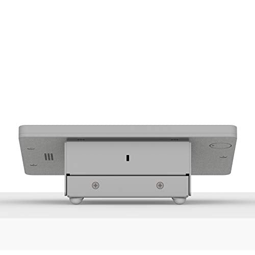 VidaMount Light Grey Enclosure and Fixed Tilted 15° Desk/Surface Mount [Bundle] Compatible with iPad mini 4 & 5 - color: Light Grey, size: iPad Mini 4 & 5
