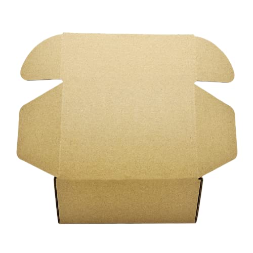 Small Sturdy Cardboard Box 6x4x2.2 Inch Mailing Corrugated Boxes Set of 10 - size: 6 x 4 x 2.2 inches