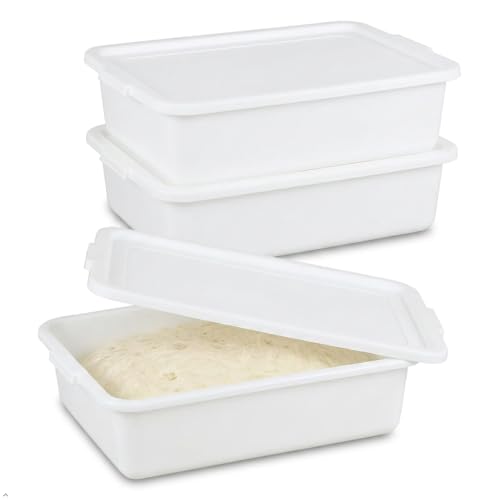 3-Pack 13 L Pizza Dough Proofing Box with Lid, White