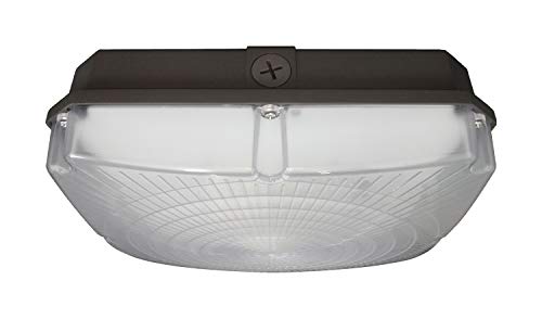 Nuvo 65/141 LED Canopy LED Canopy Fixture 40W, 5000K, 120-277V
