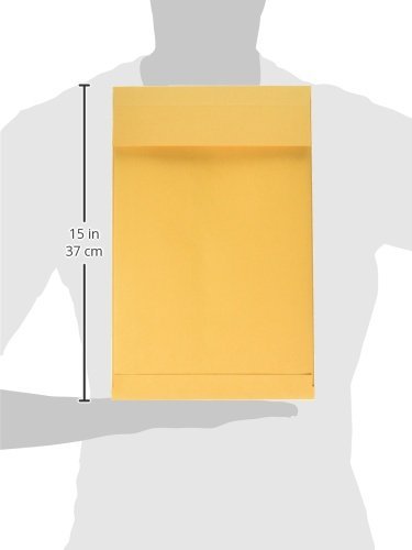 Quality Park Expansion Envelopes, Redi-Strip, Brown Kraft, 9 x 12 x 2, 25 per Pack, (93334)