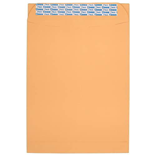 Mead Envelopes, Letter Size 9" x 12", Press-It Seal-It Self Adhesive Closure, Brown Kraft All-Purpose 24-lb Paper, Manila Mailing Envelopes, 25 Count (76086) - size: 9 in. x 12 in. / 25-count