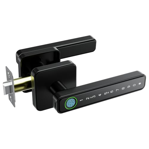 Smart Fingerprint Door Lock Knob, Biometric Keyless Entry Bedroom Handle - color: Black 02