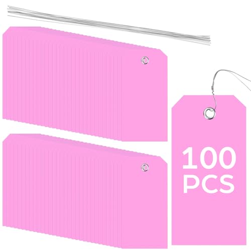 100 Pack Pink Plastic Shipping Tags with Wire Ties, 4.72 x 2.36 inches Heavy Duty Industrial Hang Tags, Blank Identification Labels for Warehouse, Inventory & Outdoor Equipment (Pink) - color: Pink