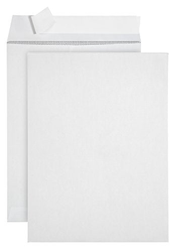 Blue Summit Supplies 100 9" x 12" Catalog Envelopes, Self Seal, White - size: 9 x 12