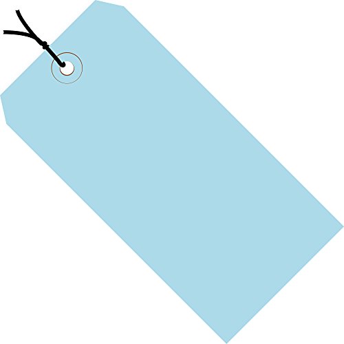 Discount Tag & Label Light Blue Shipping Tags, Strung, 13 Pt, 2 3/4" x 1 3/8", 1, (Case of 1000) - color: Light Blue, size: Model #1 - 2 3/4" x 1 3/8", style: Pre-Strung
