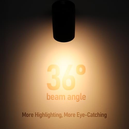 LEONLITE 4-Pack Retail Pro Series 17.5W H Track Lighting Heads, 5CCT, Black - color: Black-5CCT(2700K/3000K/3500K/4000K/5000K)