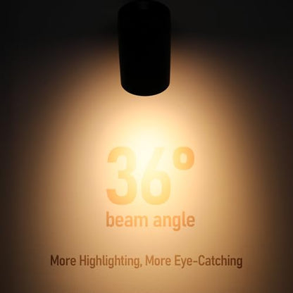 LEONLITE 4-Pack Retail Pro Series 17.5W H Track Lighting Heads, 5CCT, Black - color: Black-5CCT(2700K/3000K/3500K/4000K/5000K)