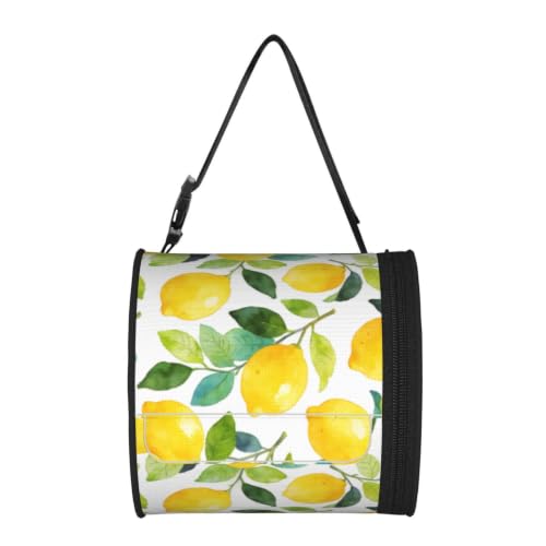 Lovely Lemon Cylinder Tissue Holder,Toilet Hanging Tissu Bag for Bathroom Home Travel - color: Lovely Lemon