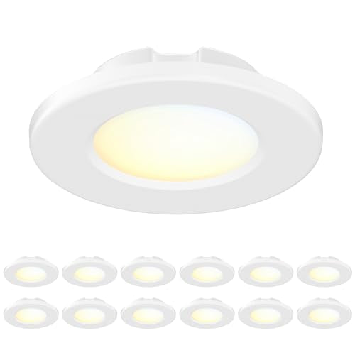 4 Inch LED Mini Surface Mount Light, Recessed Trim, Small Flush Mount Ceiling Light for Hallway, Bathroom, Kitchen, 120V, 60W Replacement, 5CCT Selectable, ETL, Wet Rated, White/12 Packs - color: White, size: 12 Packs