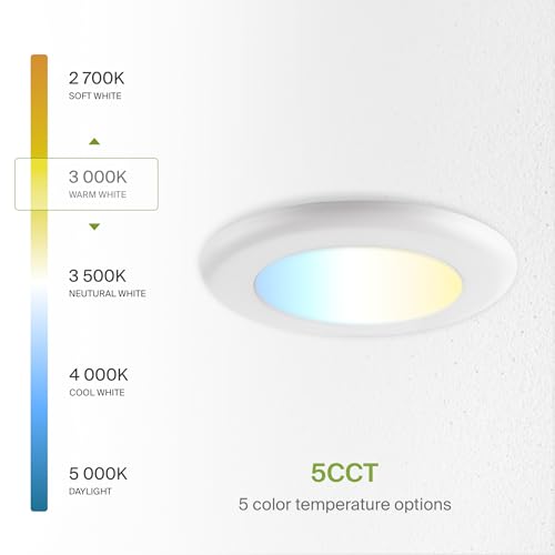 ASD 12 Pack LED Disk Lights 4 Inch, 5CCT Flush Mount Ceiling Light Fixture - color: White, size: 12 Pack