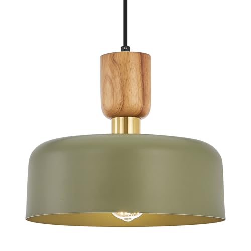 TeHenoo Contemporary Pendant Lighting, 12 inch, Green - color: Deep Green