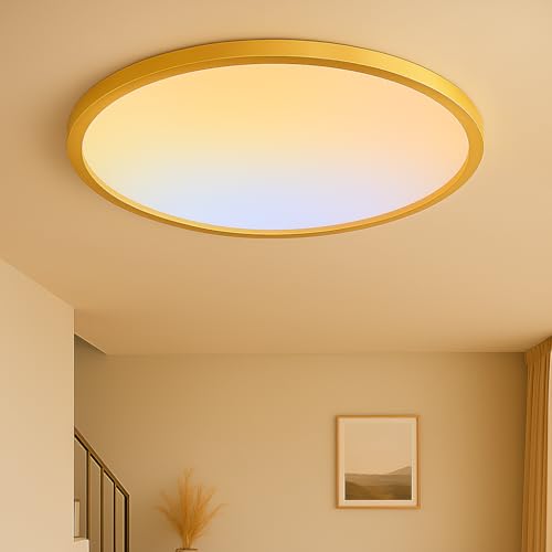 MOONSEA 16 Inch Flush Mount LED Kitchen Ceiling Light Fixture 32W Golden - color: Gold, size: 16 Inch