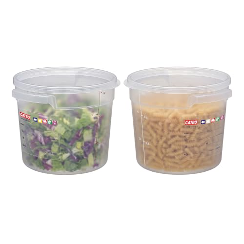 2 Pack 6QT Commercial Round Food Storage Containers with Lids - size: 2 X 6.0(QT)