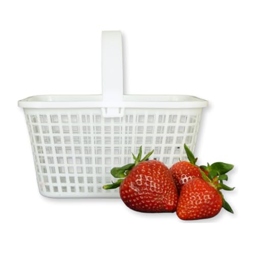 12 Pack – Small Plastic Basket with Handle for Produce Display, Harvesting Fruits and Vegetables, Party Décor, or Organization