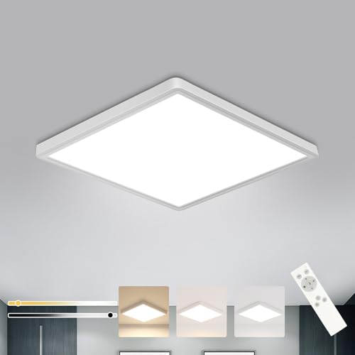 DELIPOP 12 inch Dimmable LED Flush Mount Ceiling Light Fixture with Remote Control, 24W 3000K-6500K Adjustable Color Temperature, Ultra-Thin Ceiling Lamp for Bedroom Kitchen Hallway Living Room - size: 12in-Dimmable-1Pack