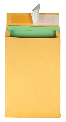 Quality Park Expansion Envelopes, Redi-Strip, Brown Kraft, 9 x 12 x 2, 25 per Pack, (93334)
