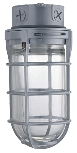 Lithonia Lighting Incandescent Vapor Tight Jelly Jar Light 150W 120V Grey - size: 150W Max, style: Ceiling Mount