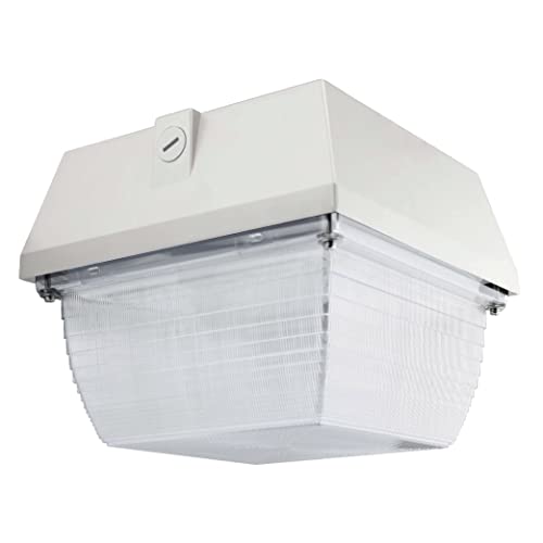CLT 40W Waterproof IP65 LED Outdoor Canopy Garage Light 5000K