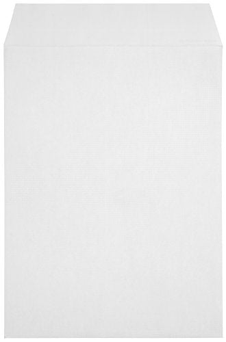 Blue Summit Supplies 100 9" x 12" Catalog Envelopes, Self Seal, White - size: 9 x 12