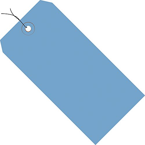 Discount Tag & Label Dark Blue Shipping Tags, Wired, 13 Pt., 2 3/4" x 1 3/8", 1, (Case of 1000) - color: Dark Blue, size: Model #1 - 2 3/4" x 1 3/8", style: Pre-Wired