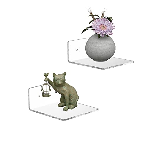 Sezanrpt 6 Inches Acrylic Small Wall Shelves 2 Pack, Floating Shelf for Wall Mounting, Acrylic Display Ledges for Funko Pop Figures, Home Décor, Living Room, Gaming Room, Plants(6 inch, Clear) - color: Clear, size: 6 Inch