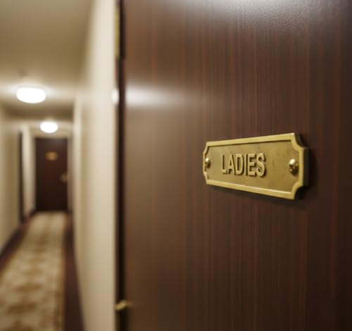 Brass LADIES Door Sign Plaque 22x5 cm Wall Mount Washroom Restroom Signage Plate with Screws for Home Office Hotel Bathroom Identification & Facility Labeling - color: LADIES