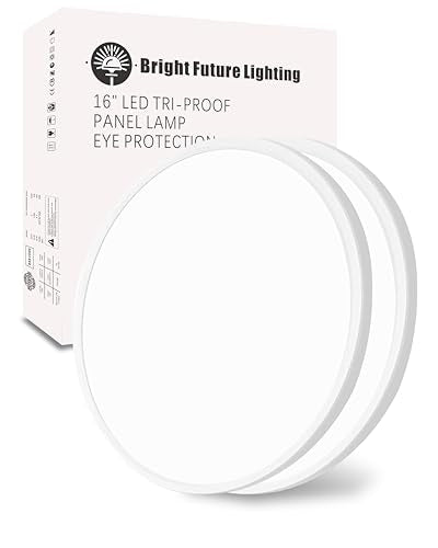 LED Flush Mount Ceiling Light Fixture,Round 16 Inch 32w 3480lm 3000k,4000k,6000k CCT Selectable, Modern Flat Panel Super Slim Led Ceiling Light,for Living Dining Kitchen Bedroom Room (2Pack-White) - color: White, size: Basic-16IN-2PACK