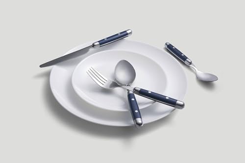 Cambridge Jubilee Blue 16-Piece 18/0 Silverware Set for 4, Flatware - color: Blue