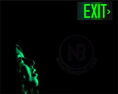 UL 924 Photoluminescent Exit Sign, Green, Pack of 2