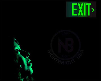 UL 924 Photoluminescent Exit Sign, Green, Pack of 2