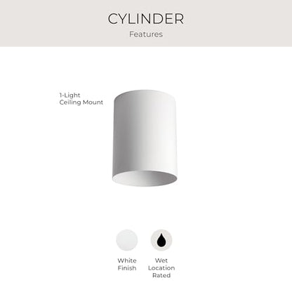 Progress Lighting 5-Inch Cylinder Outdoor Flush Mount Ceiling Light, White - color: White