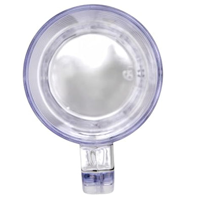 GET 20 oz Clear Plastic Beer Mug with Handle (Set of 4) - size: 20 Ounce, style: Set of 4