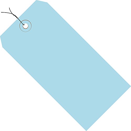 Discount Tag & Label Light Blue Shipping Tags, Wired, 13 Pt, 2 3/4" x 1 3/8", 1, (Case of 1000) - color: Light Blue, size: Model #1 - 2 3/4" x 1 3/8", style: Pre-Wired
