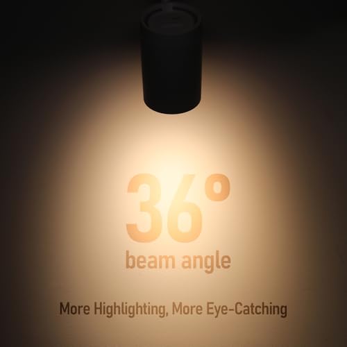 LEONLITE 4-Pack Retail Pro Series 17.5W H Track Lighting Heads, 5CCT, White - color: White-5ССТ(2700K/3000K/3500K/4000K/5000K)