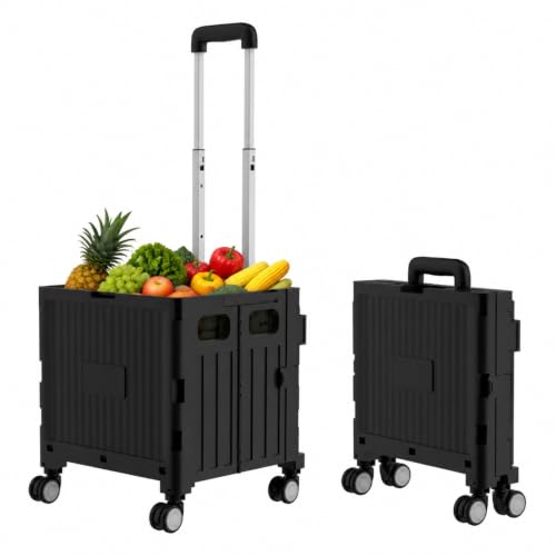 Foldable Shopping Cart with Wheels: Small Rolling Utility Crate - color: Black(s)
