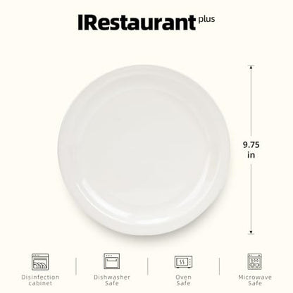Stoneware Narrow Rim Commercial Grade Dinnerware America White, Plate 9 5/8", Case of 24 - color: America White, size: Plate 9 5/8"